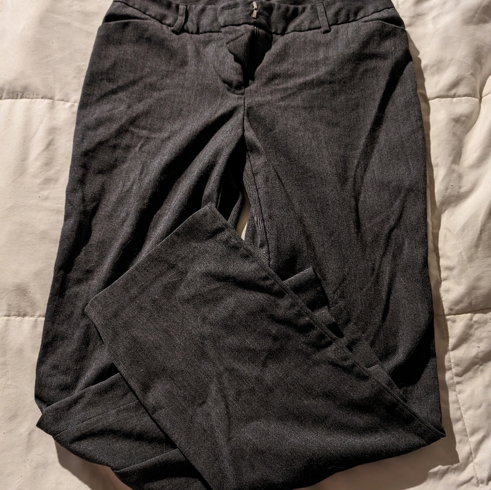 Dress Pants